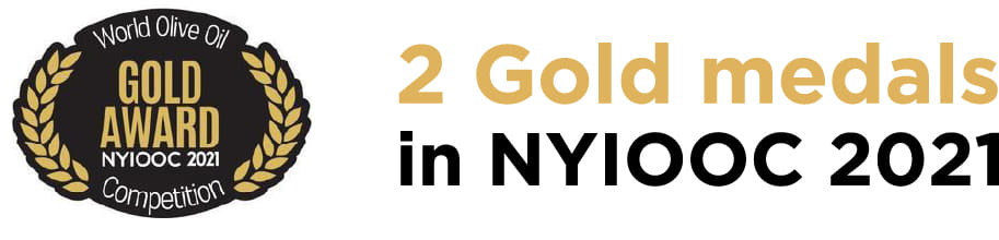 2 Gold medals in NYIOOC 2021