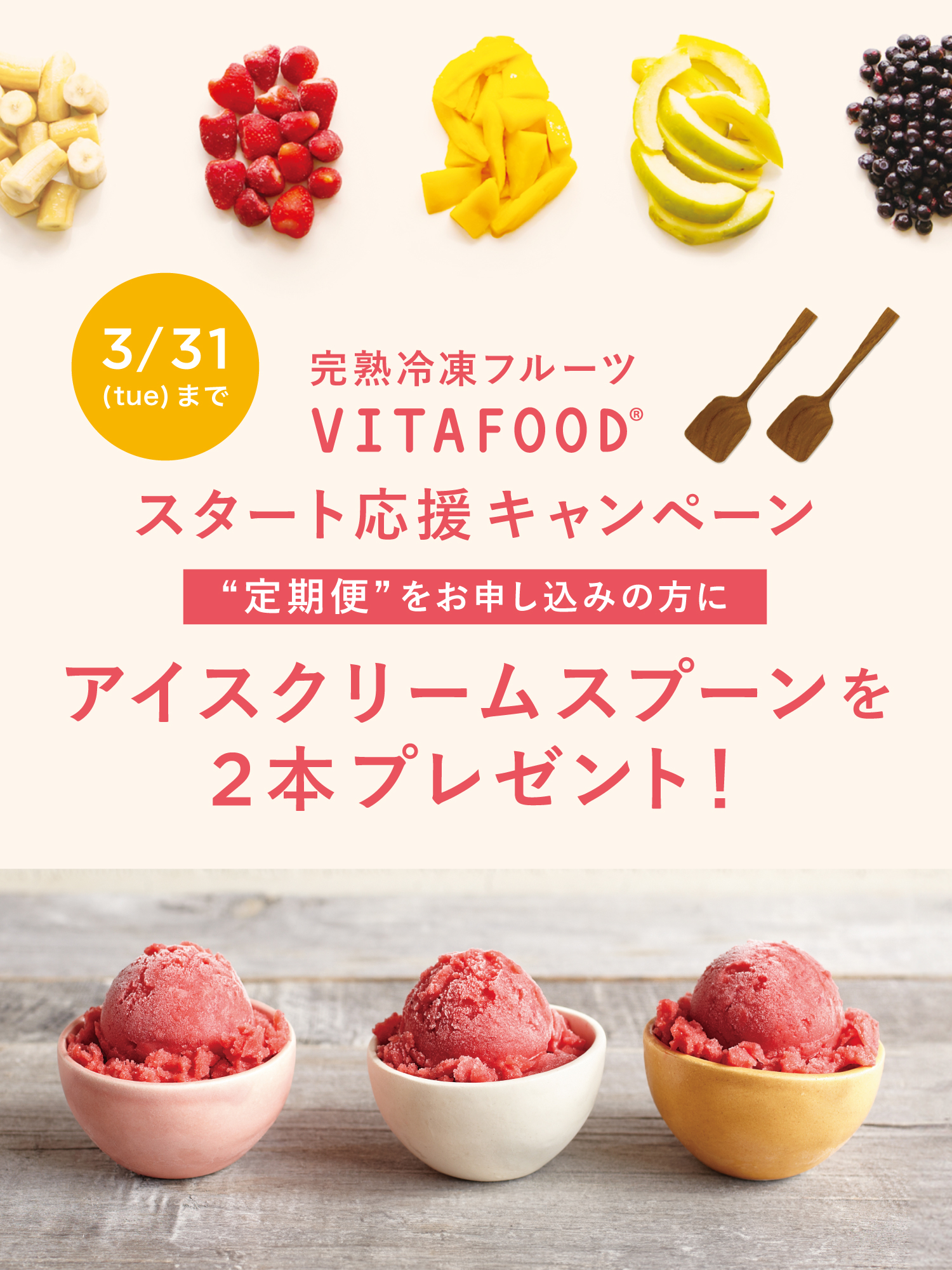 プレゼントキャンペーン